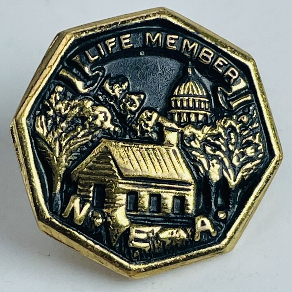 Life Member NEA National Ethics Association Lapel Hat Screwback Pin Education